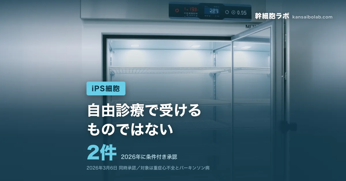 iPS細胞｜2026年に条件付き承認は2件。自由診療で受けるものではない