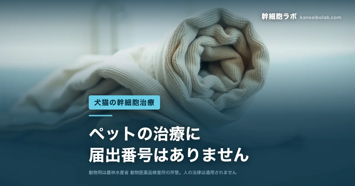 犬猫の幹細胞治療｜ペットの治療に届出番号はありません