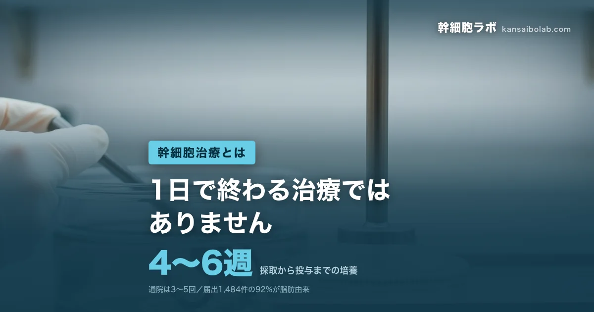 幹細胞治療とは｜採取から投与までの培養は4〜6週。1日で終わる治療ではありません